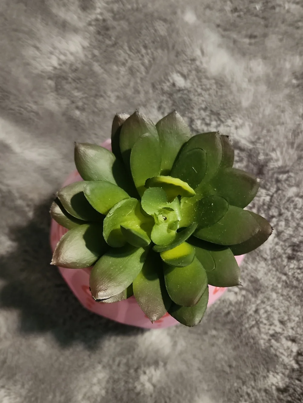 Hand Painted Pot, with fake plant!
